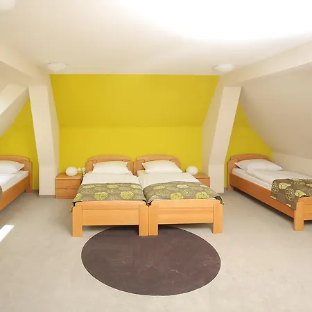 Hotel Sluga 4*